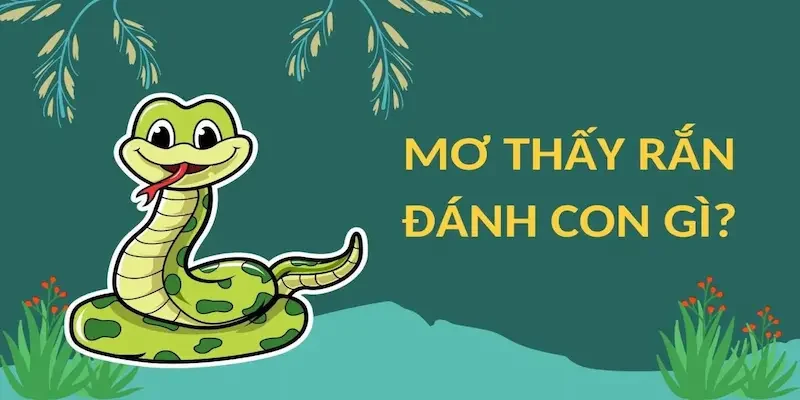Ý nghĩa các tình huống nằm mơ thấy rắn đánh con gì phổ biến